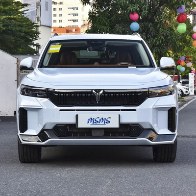 보야 무료 1.5T 럭셔리 에너지 MPV EV SUV 4WD 순수 전기 자동차 빠른 충전 시간 0.43h