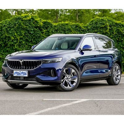 VOYAH FREE 장거리 SUV 5도어 5석체 구조