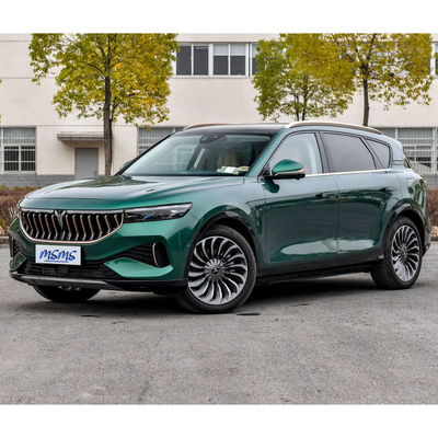 VOYAH FREE 장거리 SUV 5도어 5석체 구조