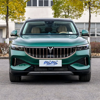 VOYAH FREE 장거리 SUV 5도어 5석체 구조