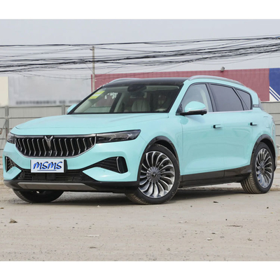 VOYAH FREE 장거리 SUV 5도어 5석체 구조