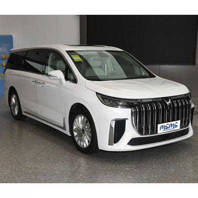 2024 럭셔리 전기차 보야 드리머 하이브리드 MPV 7석 장거리 전기차